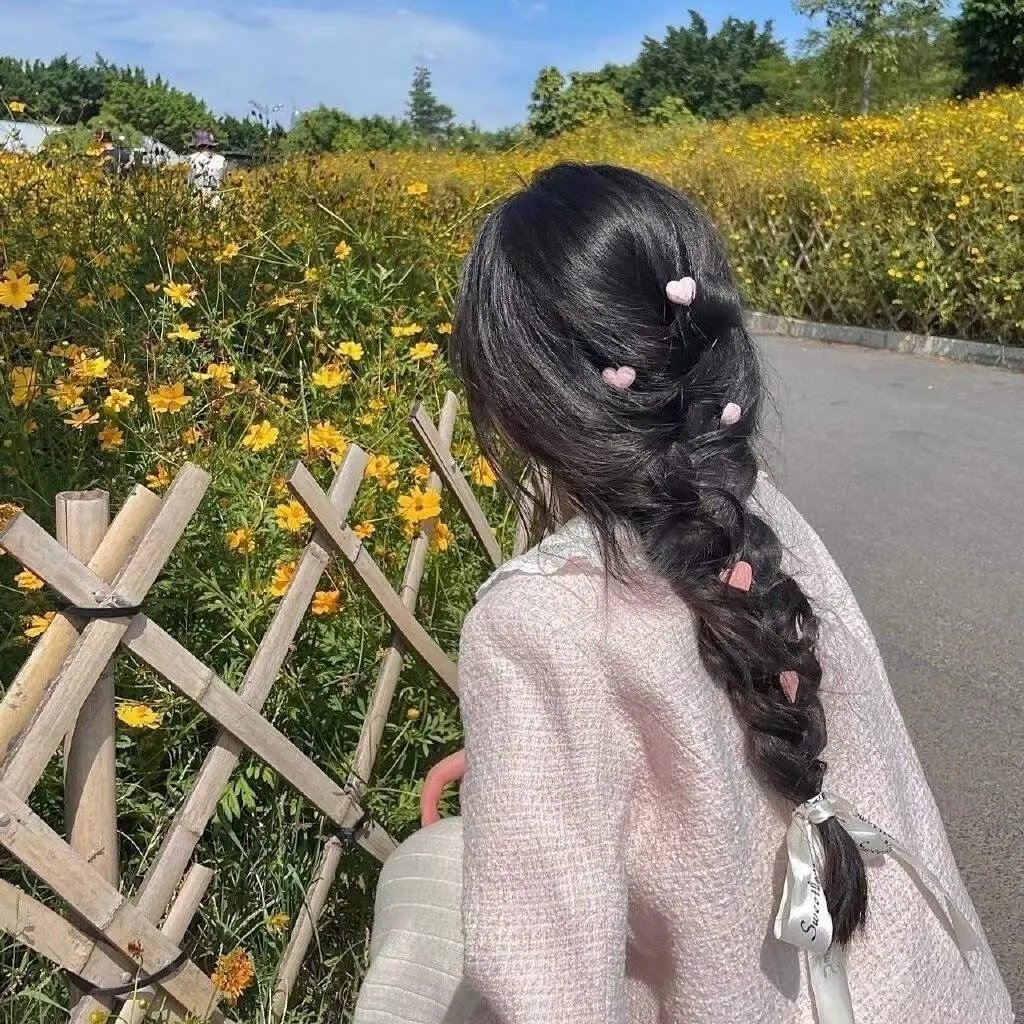 鹡鸰女神第一季